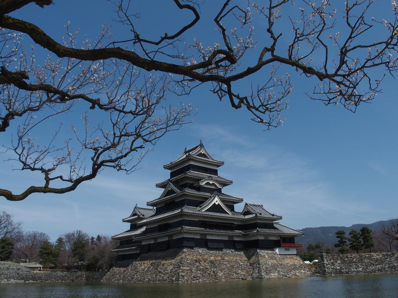MATSUMOTO : début de sakura et le château