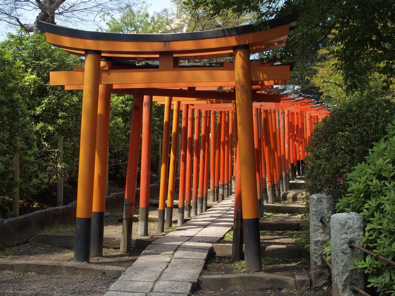 TOKYO : le chemin de toriis au sanctuaire NEZU