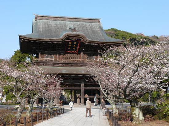 KAMAKURA : le temple Zen Kenchoji