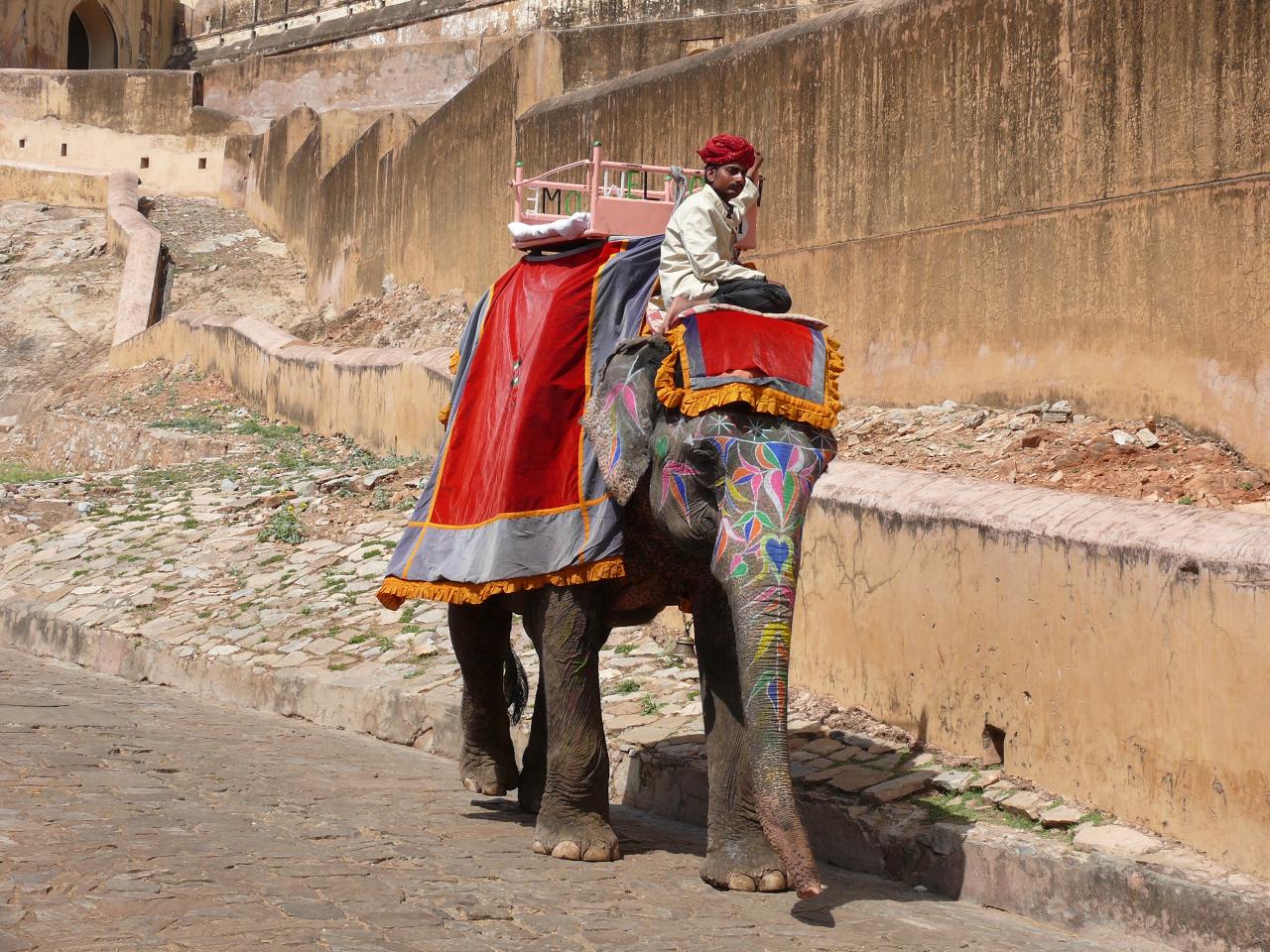 Fort d'Amber : les éléphants sont décorés