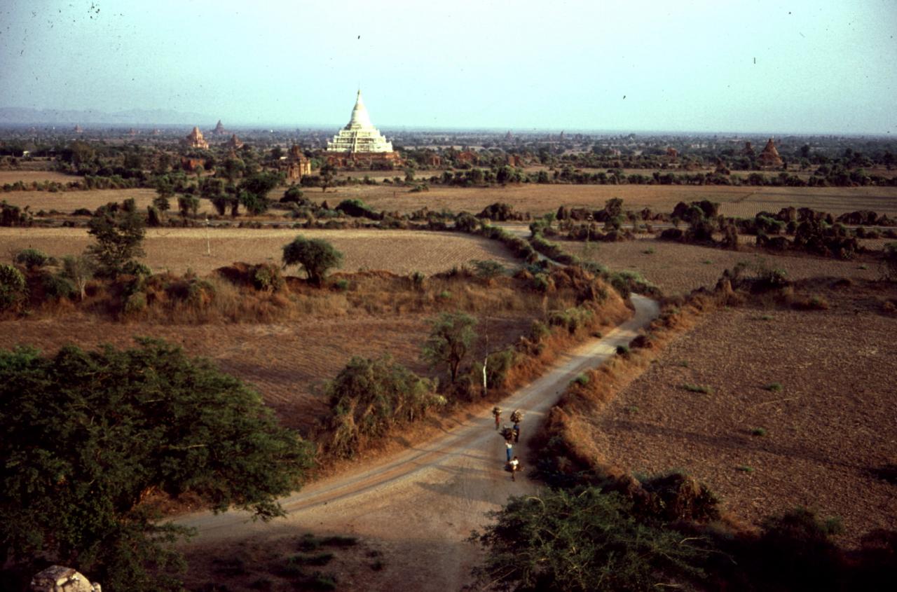 PAGAN en avril 1981