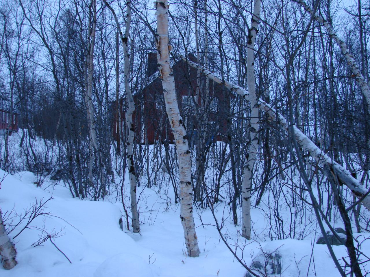 ABISKO (SUEDE)