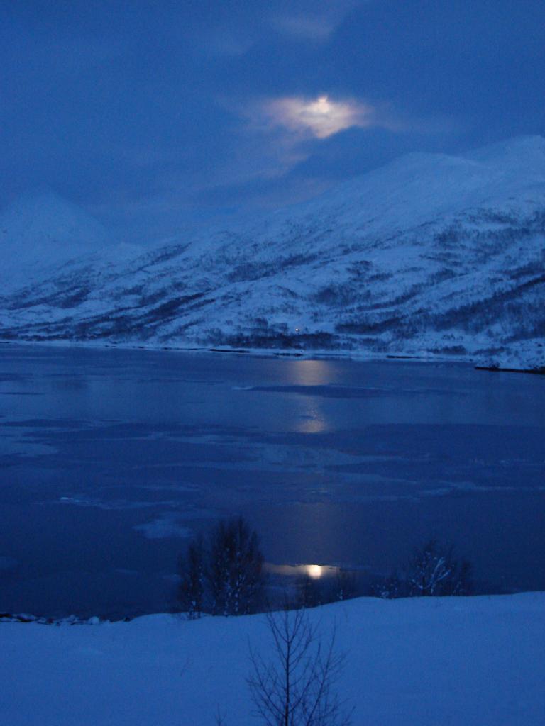 En allant aux îles LOFOTEN (NORVEGE)