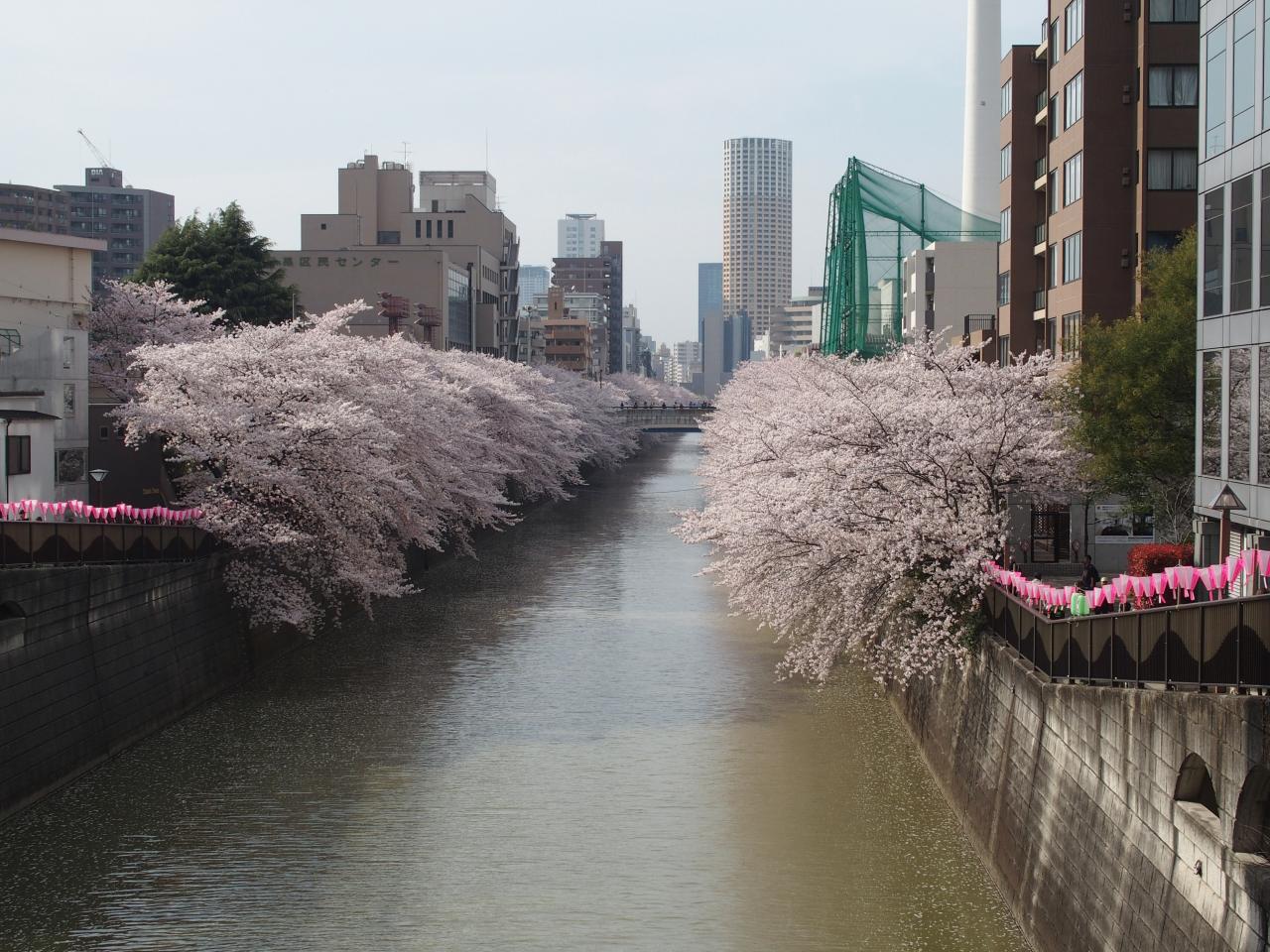 Qu'elle est belle la rivière MEGURO !