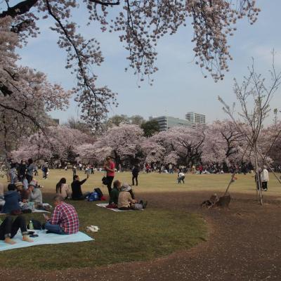 HANAMI 2016