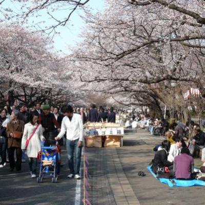 TOKYO - KAMAKURA 2008