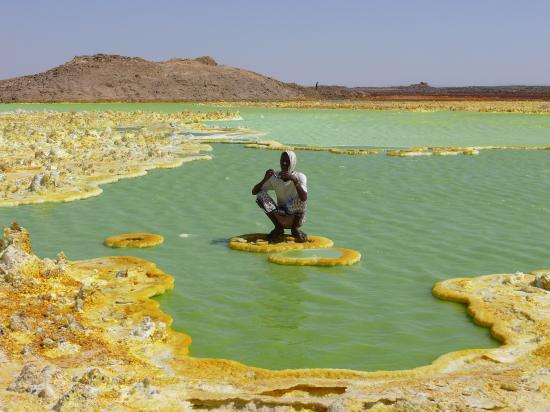 Le DALLOL : l'acide vert