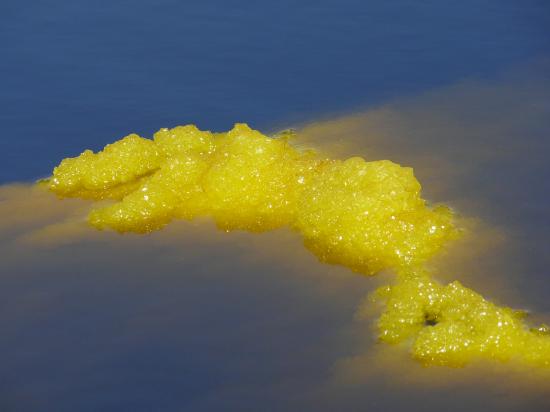 Le DALLOL irréel