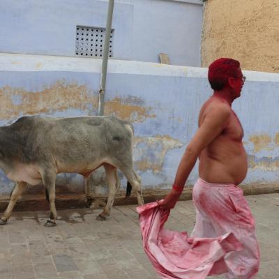 RAJASTHAN 2014