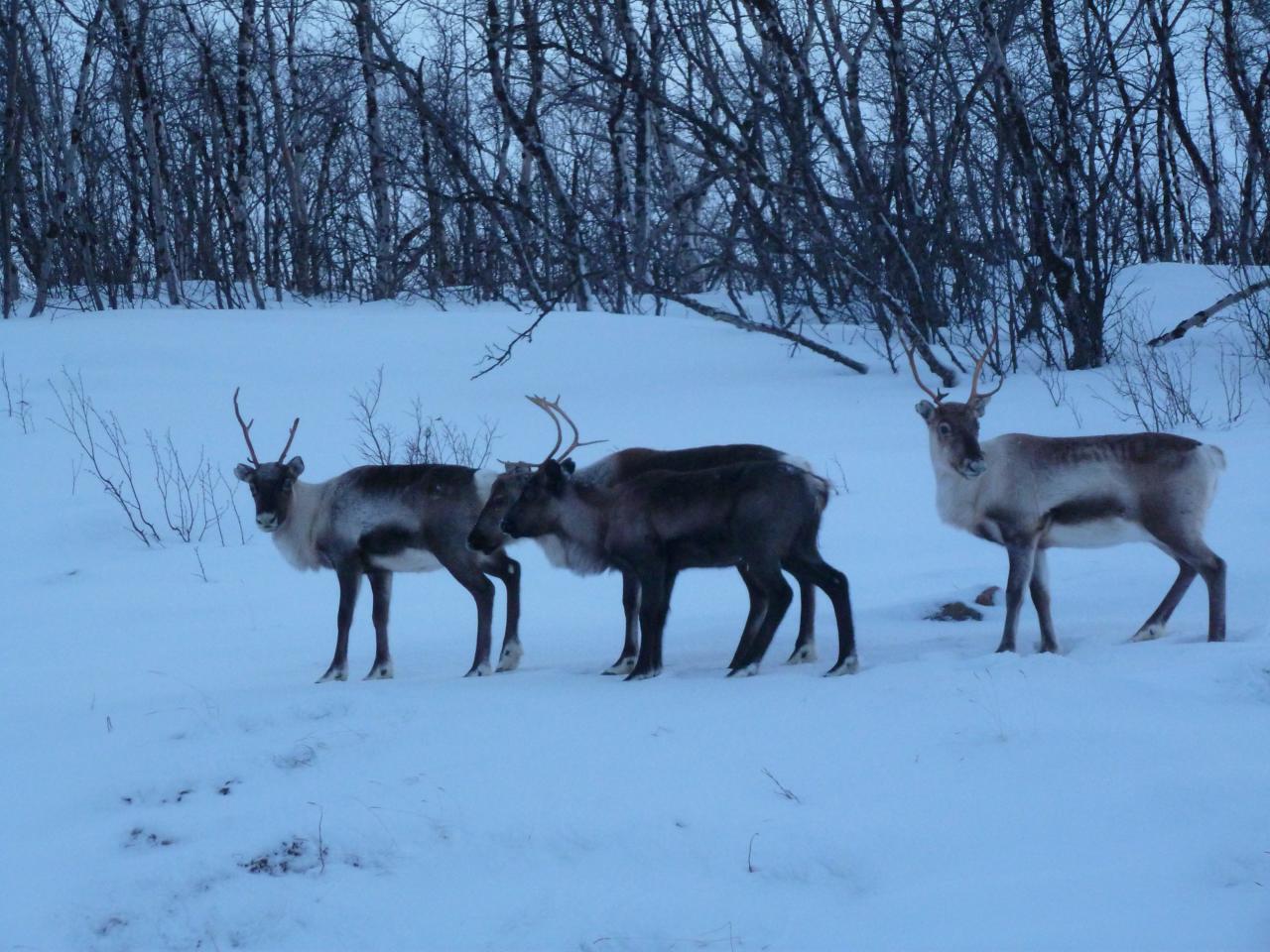p1020640.jpg